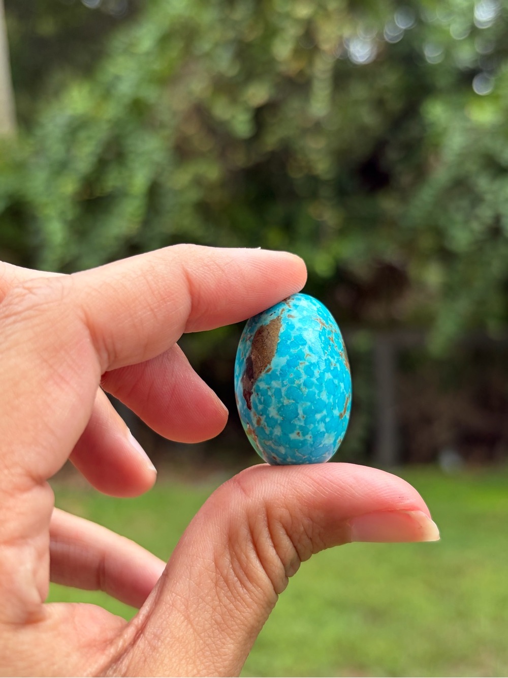 Persian Turquoise Cabochon 65 Carats